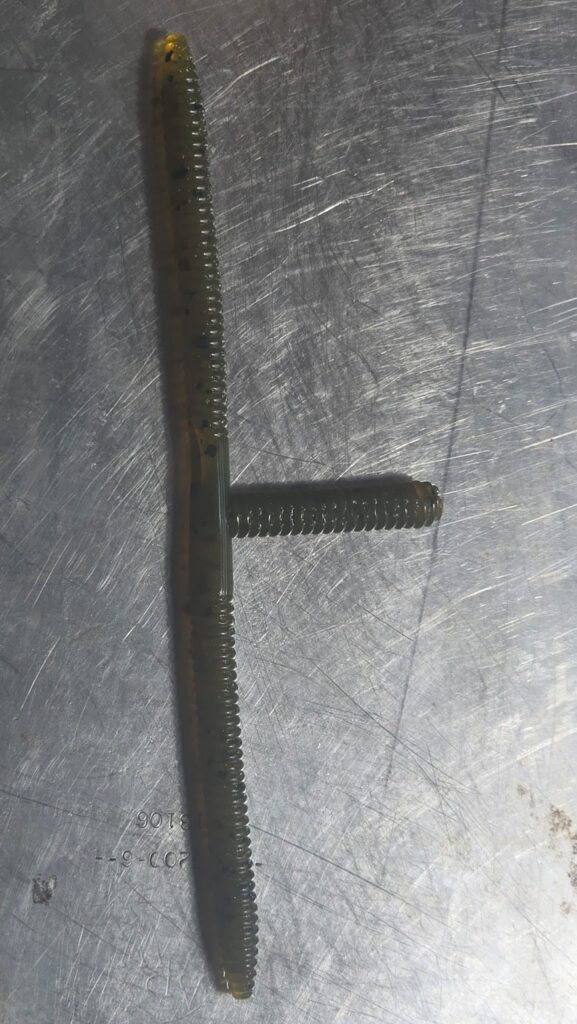T Worm