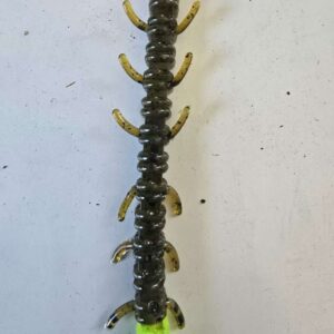 Centipede