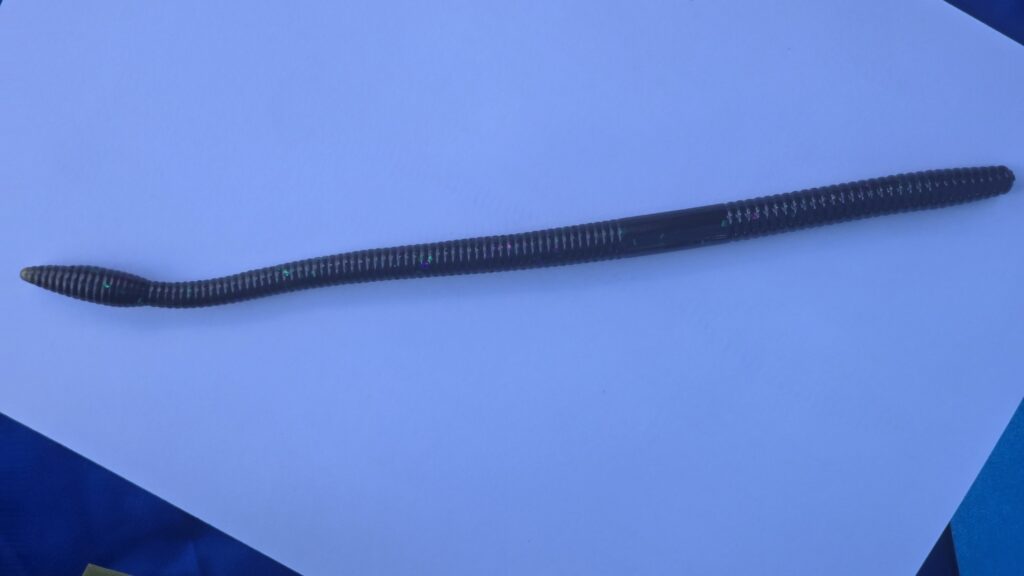 Mega Worm