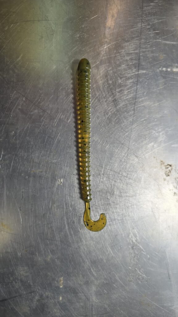 Disc Worm
